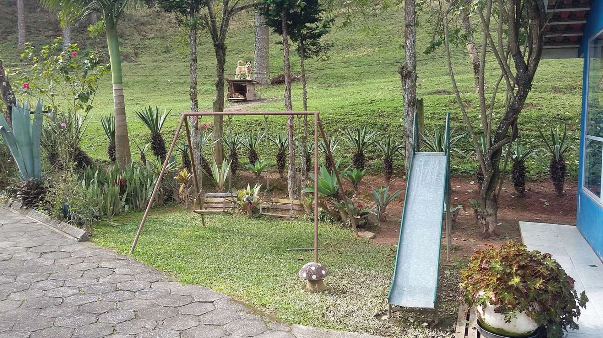 Imagem do imóvel